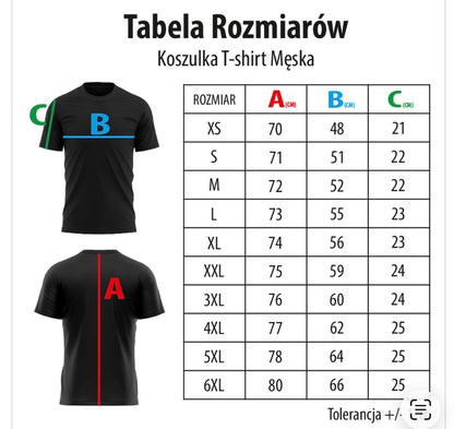 Koszulka Trekkingowa WIERCH Męska